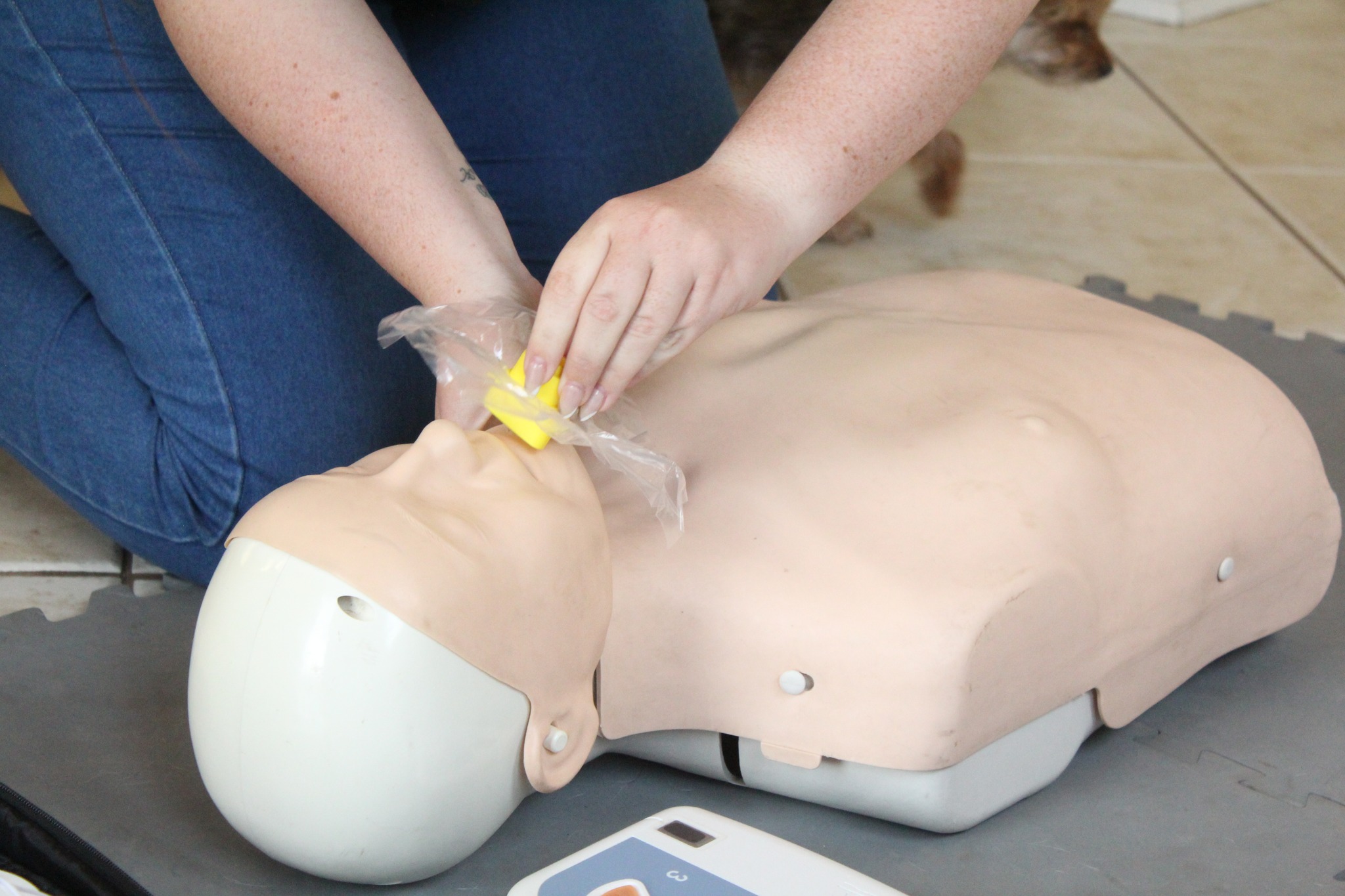 347235780_789216626229480_719135048533542962_n